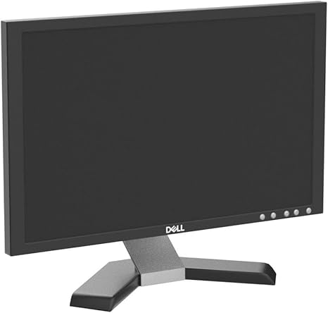 Dell E198FPB 19 Inch