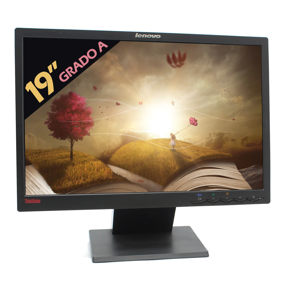 Lenovo ThinkVision L194wA 19 Inch